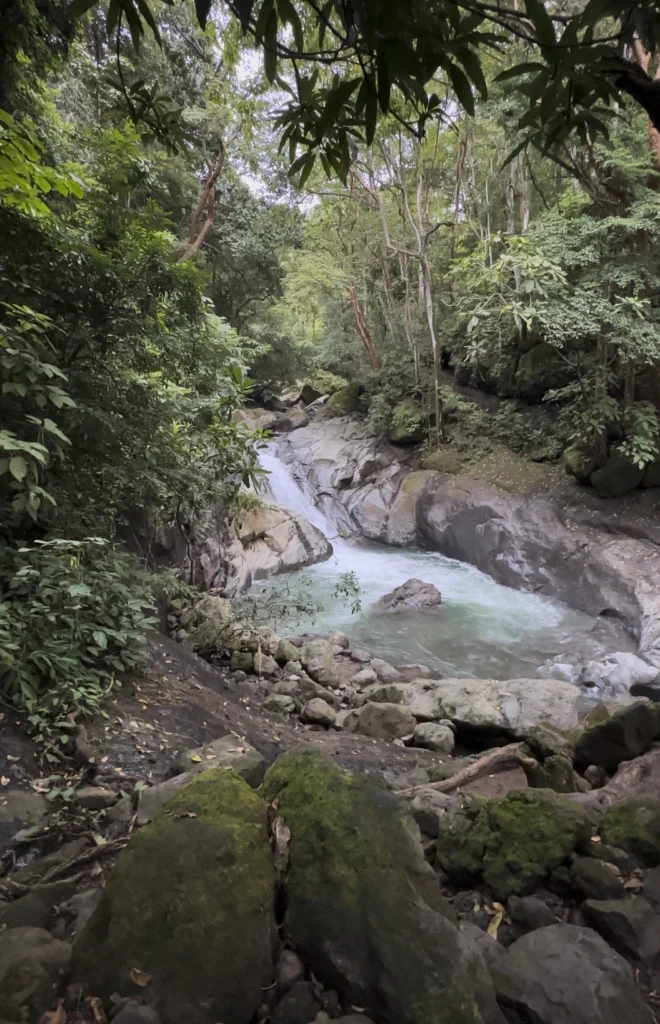 Cascading falls and mossy boulders framed by lush rainforest. Photo: Shawn Brooks Photography